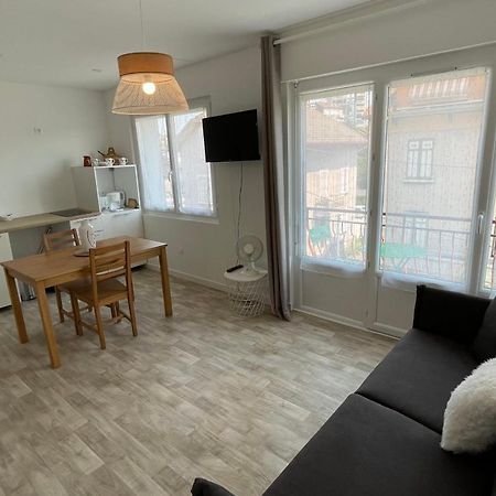 Le Bout Du Lac Studio Renove Avec Balcon Et Vue Sur La Montagne Annecy Dış mekan fotoğraf
